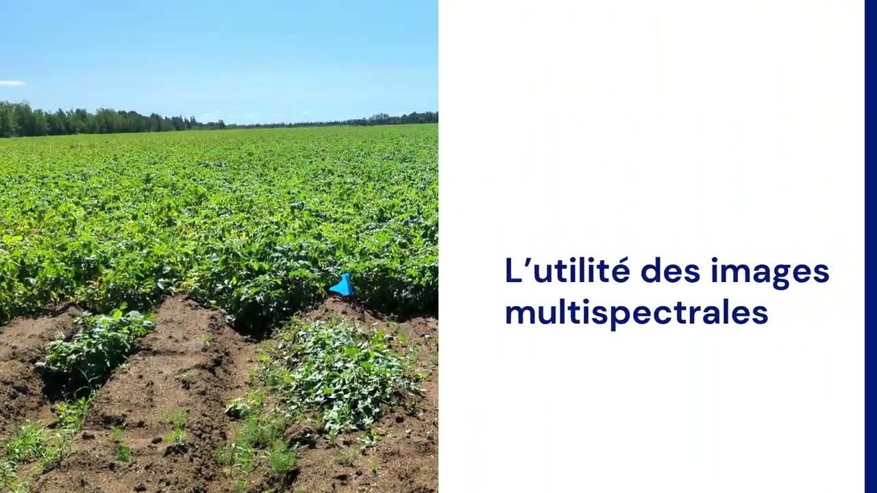 Aperçu de la vidéo : L'utilité des images multispectrales